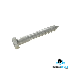 12mm Galvanised Coach Screws