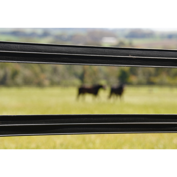 Stallion Rail 4 inch - Image 2