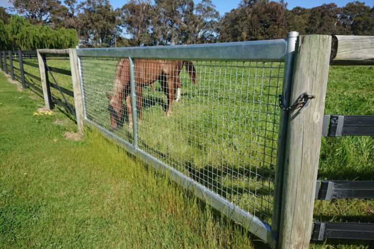 horse safe gates