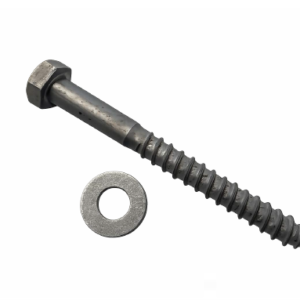 12mm Galvanised Coach Screws