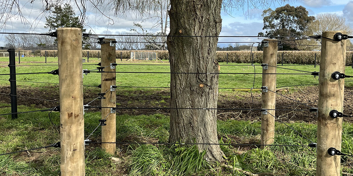 shockcoat-around-trees