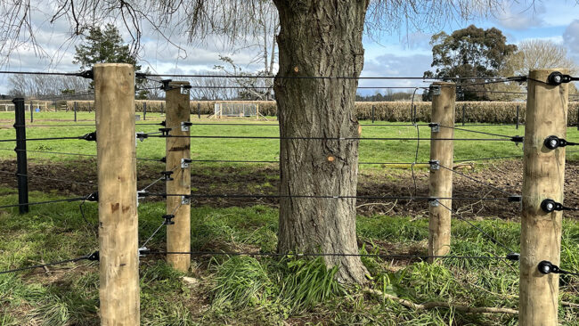 shockcoat-around-trees